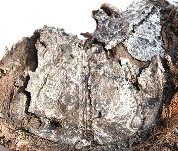 A ruszenyihai tarsolylemez töredéke (Nyikityina 2013 nyomán)