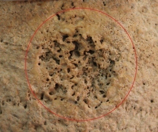 Fig. 5 Ciumai, T.1, G.9
