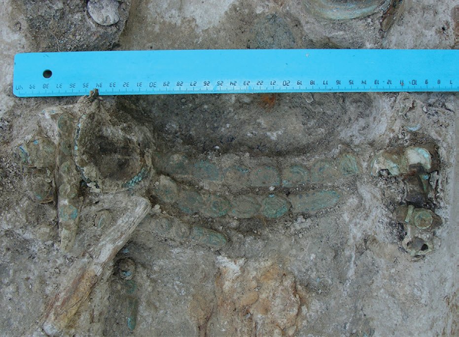Рис. 54. Русенихинский могильник, погребение 1.
Фрагмент погребения с поясом / 54. kép. Ruszenyihai temető 1. sír. A sír részlete az övvel
